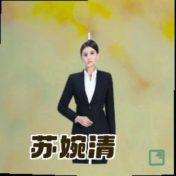 苏婉清